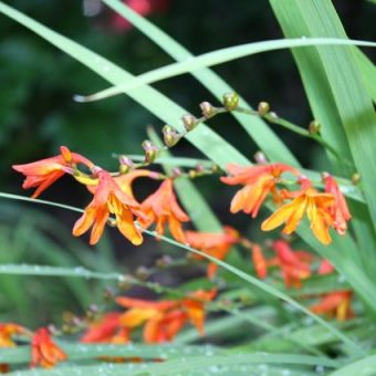 Reflections on Signs of Grace…