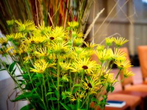 Flowers in the Nave