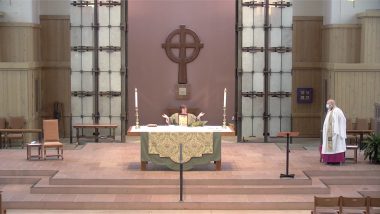 The Sixteenth Sunday After Pentecost, 2020