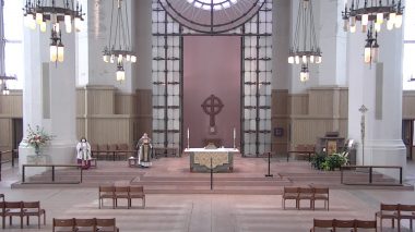 The Fifteenth Sunday After Pentecost, 2020