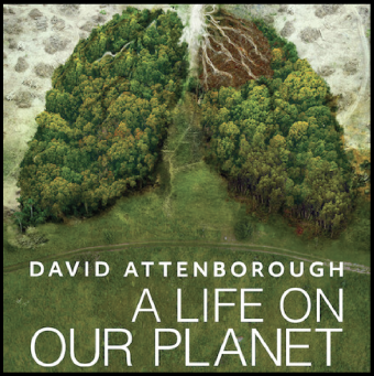 “A Life On Our Planet” Watch Party