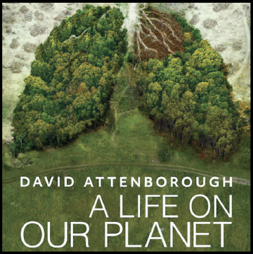 “A Life On Our Planet” Watch Party