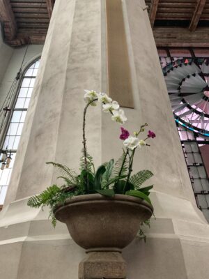 Living arrangement in the Nave
