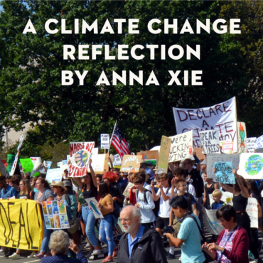 “We All Have the Potential to Be Activists”—A Reflection by Anna Xie