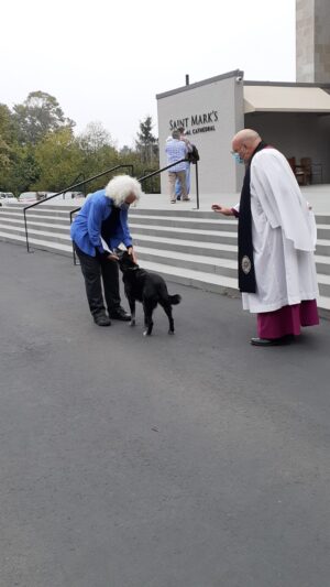 St Francis Day 2021