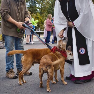 Feast of St. Francis