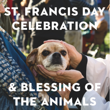 St Francis Day Celebration and Blessing of the Animals