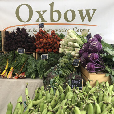 Oxbow Farm CSA Pickup at the Cathedral