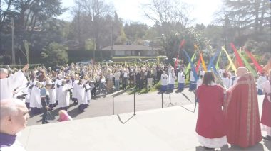 Palm Sunday, 2025